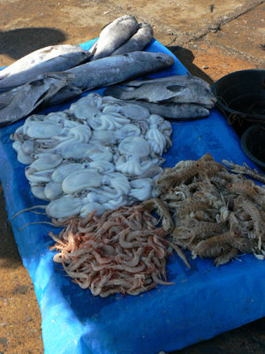Seafood sold on the dock