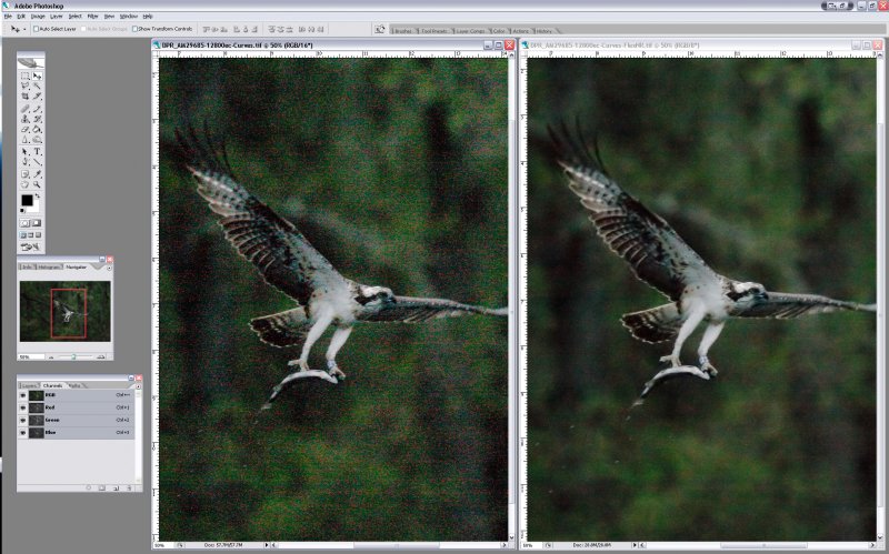 SCREEN_SHOT1D3-OSPREY-ISO12800+_FlexNR-2.jpg