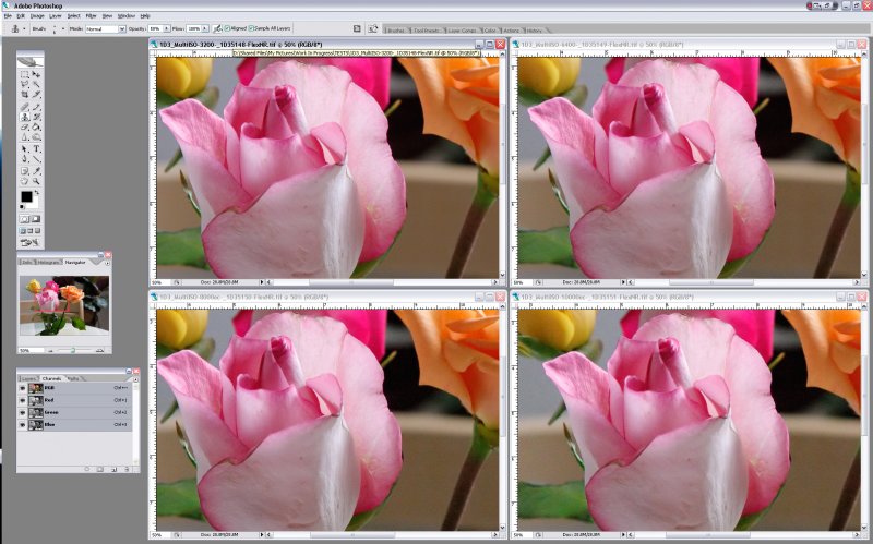 ScreenShot1D3-MultiISO-RIT-FlexNR-5.jpg