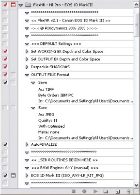 ScreenShot1D3-BatchProcessing-FlexNR-2.jpg
