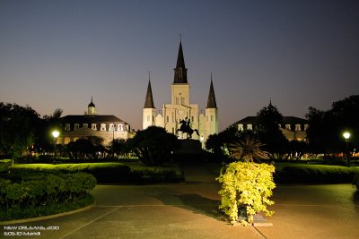 New_Orleans-_1D31929-FlexNR-sRGB-web.jpg