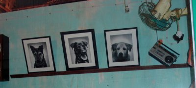 Dogs' Portrait
