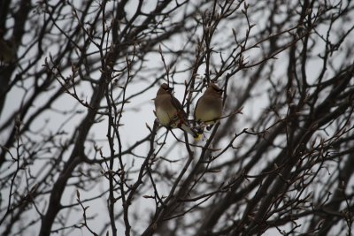 IMG_0701.JPG