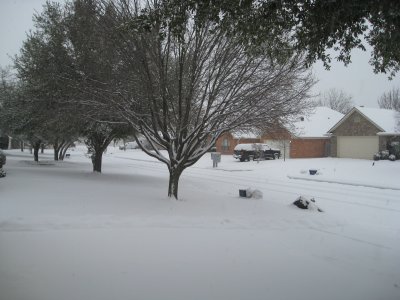 IMG_2284.JPG