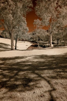 IR Beach