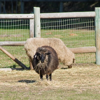 20081130-DSC_1203.jpg