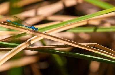 20101017-DSC_5531.jpg