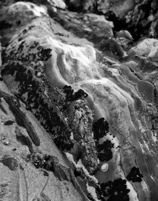 20080202-DSC_3211.jpg