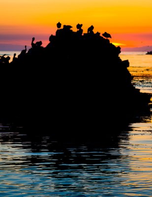 low_tide_2_11_08