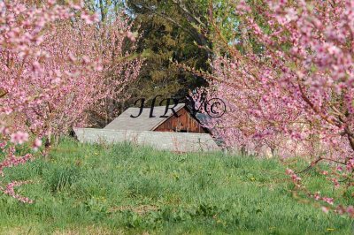 DSC_3199.jpg