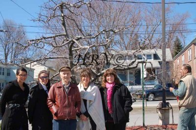 Apple Tree Pruning Annual Ceremony