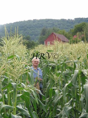 Farmer Charlie Weed IMG_1525.jpg