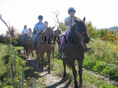 Coyote Ridge Stables IMG_1856coy.jpg