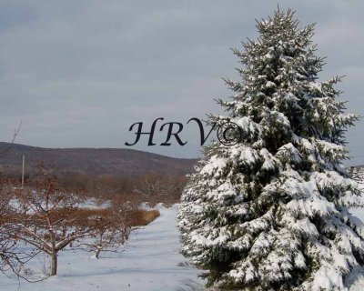 wintercrop.jpg
