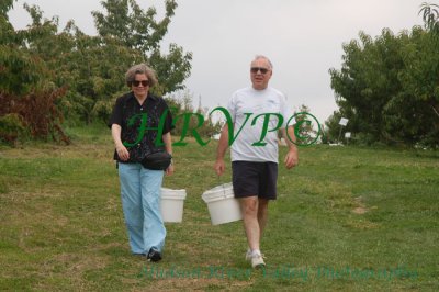 Romantic walks through the orchards DSC_8940.jpg