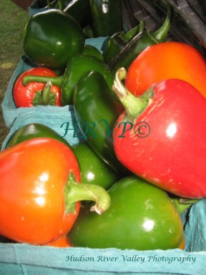IMG_0792.jpg-peppers