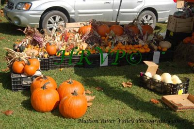 Hepworth Farms DSC_7395.jpg