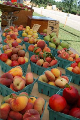 Peaches, Plums, Donut Peaches & Apples DSC_3912.jpg