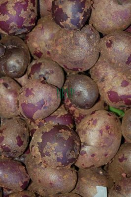 Potatoes DSC_3924.jpg