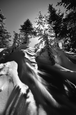 Shadows in Snow