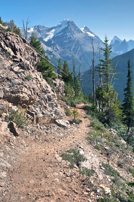 Paget Trail
