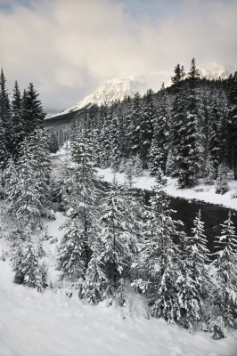 Maligne River
