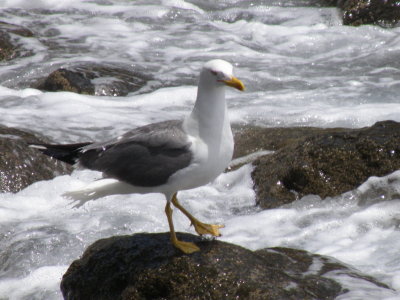 20101002.jpg