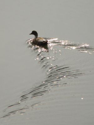 20100304.jpg