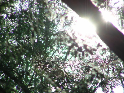 20100309.jpg