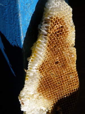 20100312.jpg