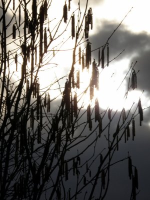 20100314.jpg