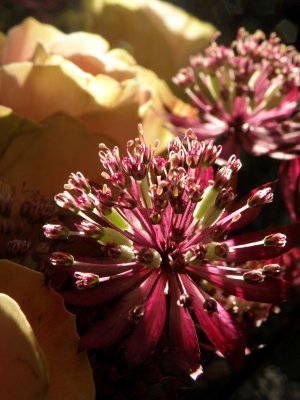 20100320.jpg
