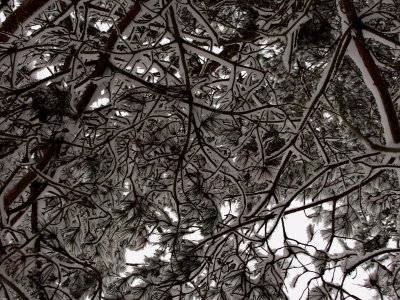 20110107.jpg