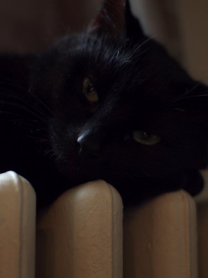 20110108.jpg