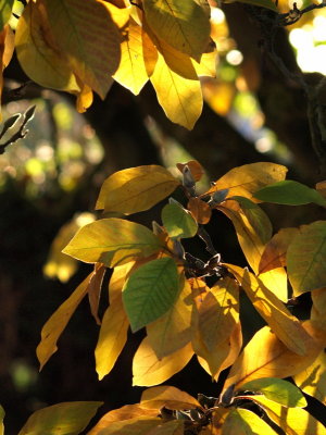 20110114.jpg