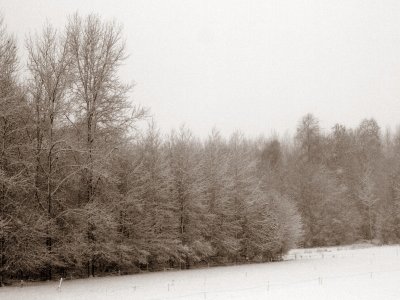 20110116.jpg