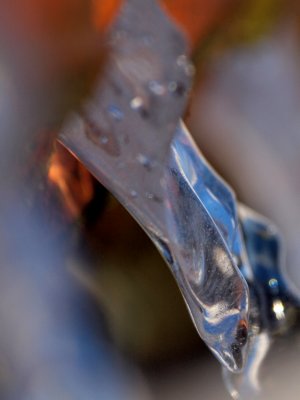 20110118.jpg
