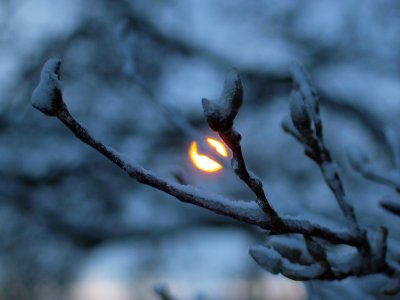 20110121.jpg