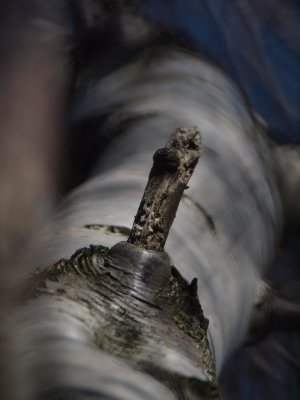 20110126.jpg
