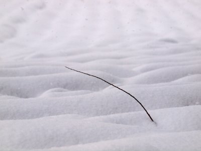 20110127.jpg