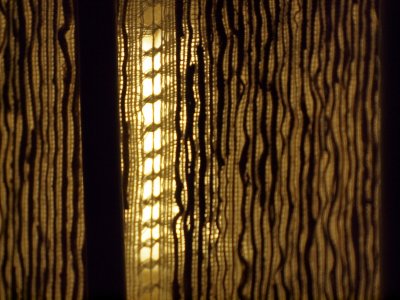 20110129.jpg
