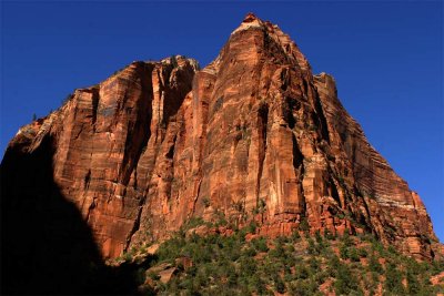 Zion_IMG_0148.jpg
