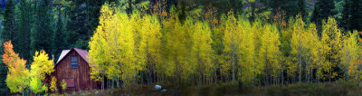 pano_31_34_gothic.jpg