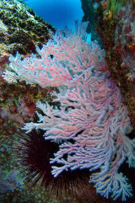 IMG_0665_4x6.jpg