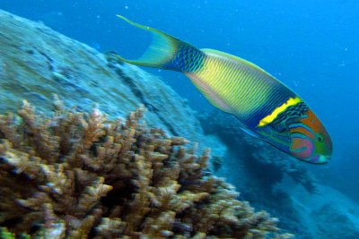 IMG_0678_4x6.jpg