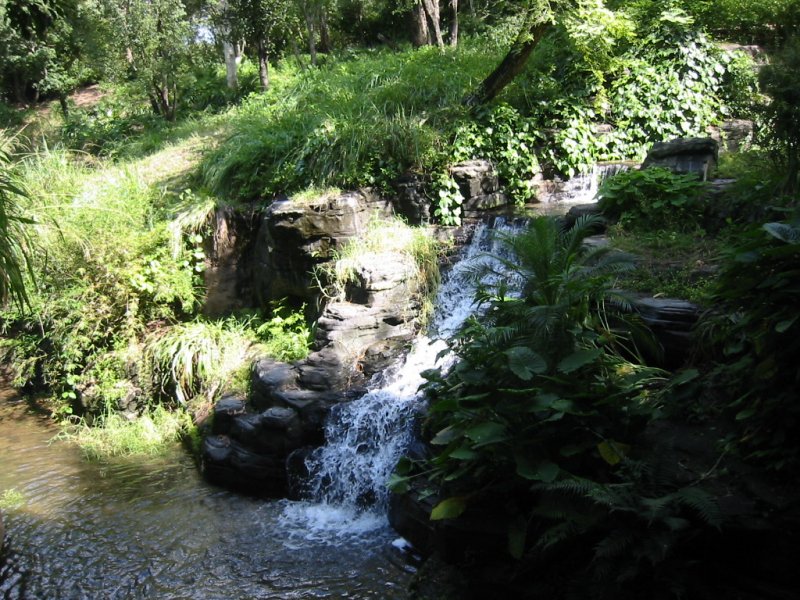 Flora, Animal Kingdom