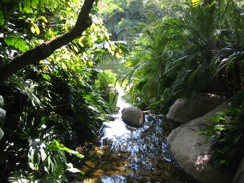 Flora, Animal Kingdom