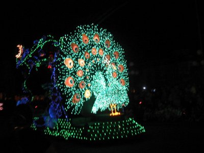 Peacock, Spectra-Magic Parade