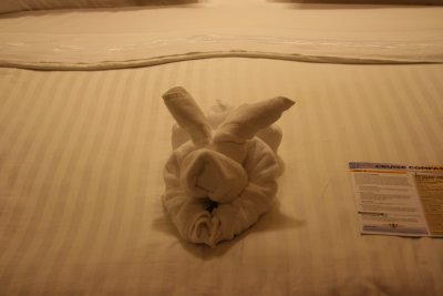 Towel Bunny