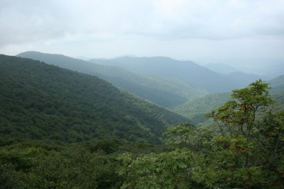 View from Craggy Gardens